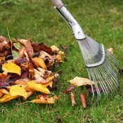 Spring Cleanup (2)