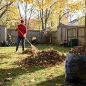Yard Cleanup (2)