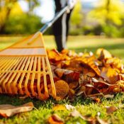 Yard Cleanup (4)