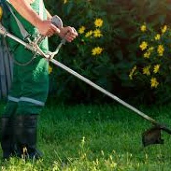 lawn mowing (5)