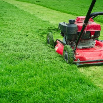 lawn mowing (7)