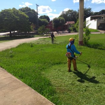 lawn mowing (8)