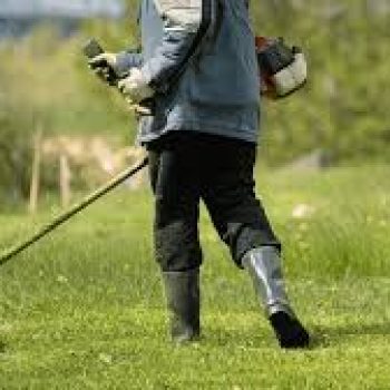 lawn mowing (9)